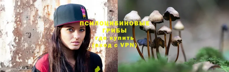 Псилоцибиновые грибы Psilocybe Верхотурье